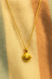 Seashell - Colar