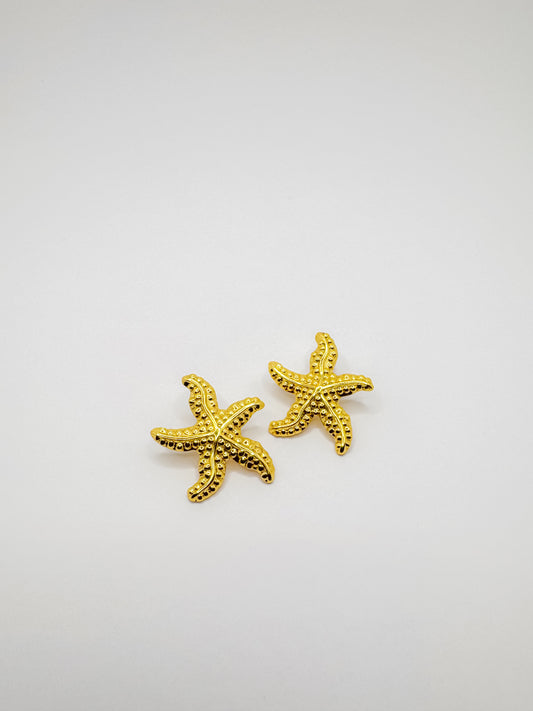 Brincos estrela-do-mar - Aço Inoxidável