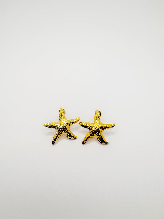 Brincos estrela-do-mar - Aço Inoxidável